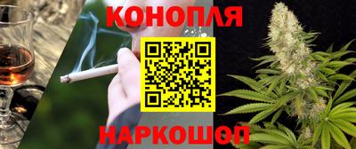 индика Новокубанск