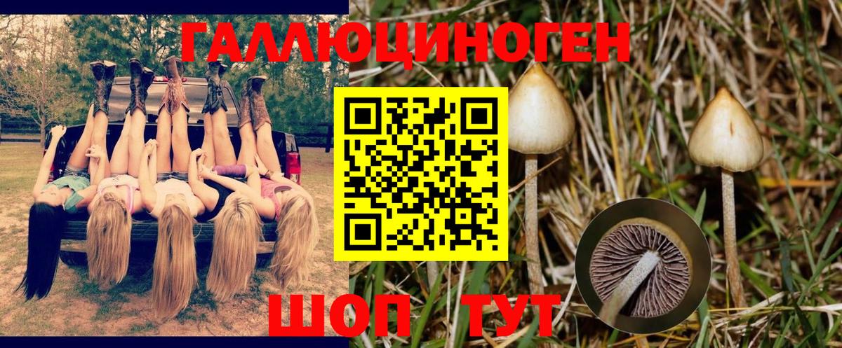 Углич  Галлюциногенные грибы Cubensis  наркошоп  Галлюциногенные грибы Magic Shrooms  Вход с VPN 