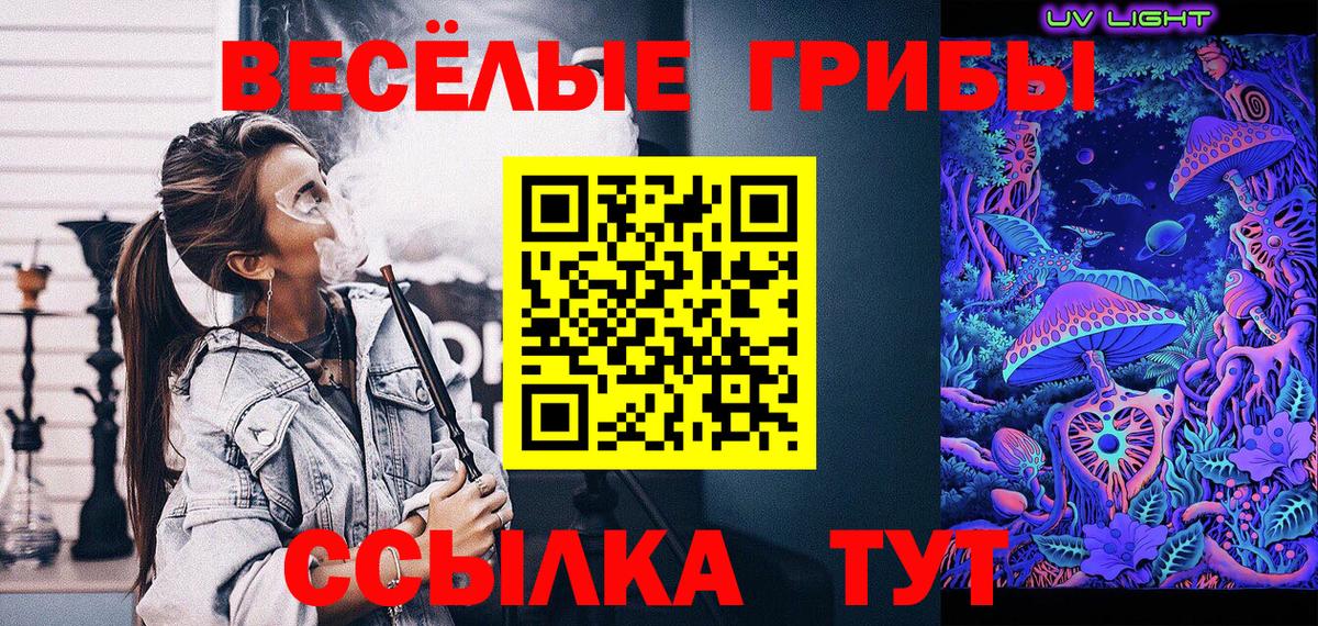 Галлюциногенные грибы Cubensis Углич