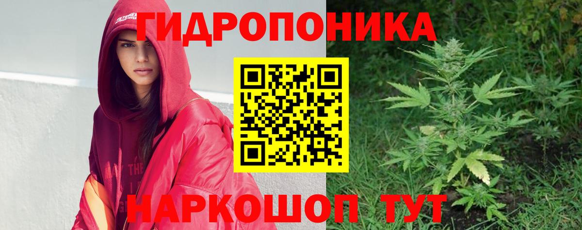 Бошки Шишки сатива  Вход с VPN  Конопля конопля  Конопля семена  Углич 